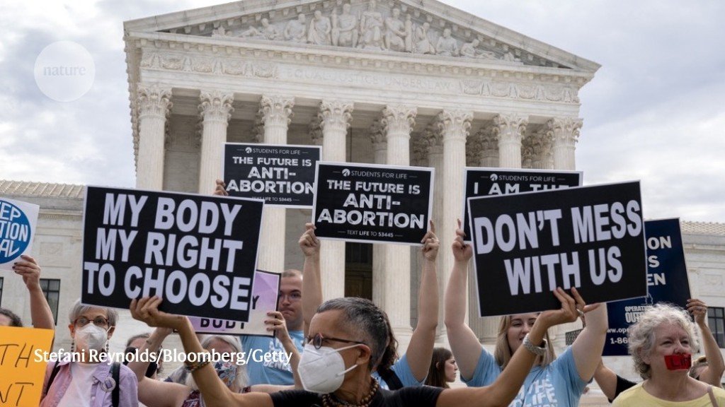 Why hundreds of scientists are weighing in on a high-stakes US abortion case
