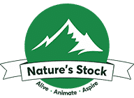 What are the benefits of Himalayan Flavoured salt – Nature’s Stock - Nature's stock
