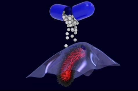How to Outwit Evolution - Cold Spring Harbor Lab on Nautilus