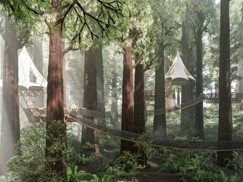 Petaluma firm bets you’ll want to vacation in a posh treehouse