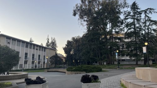 Some international students in the Bay Area advised not to travel outside the US