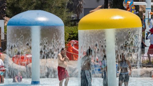Stay Cool This Summer at These Bay Area Water Parks