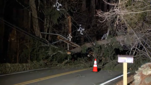 Strong winds knock down trees, leave residents without power in Mass.
