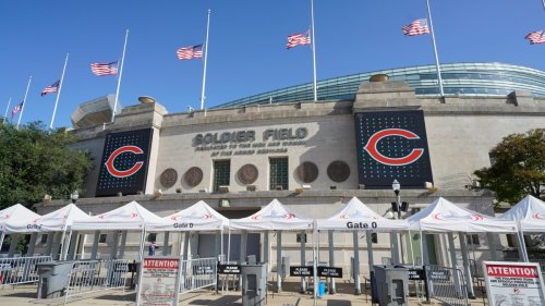 Referendum would ask taxpayers if public money should go to Bears, White Sox stadium projects