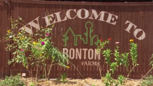 Bonton Farms Receives $60,000 Donation From Chili's Customers