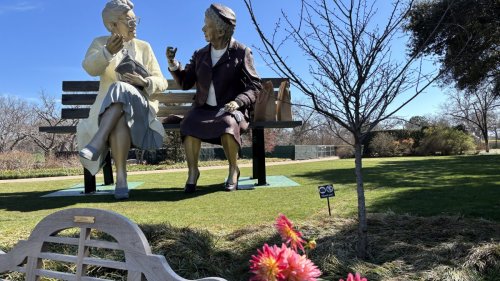 Sculptures capture the beauty of the ordinary at the Dallas Arboretum