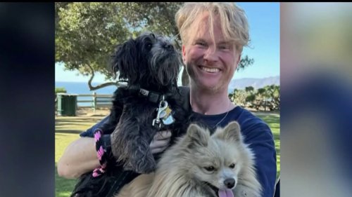 Viral video of man reuniting with dog after Palisades Fire helps inspire new state bill