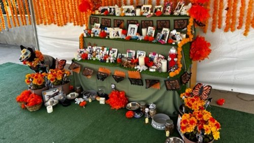 Celebrate your beloved furry friend with an ‘ofrenda' at the LA Zoo