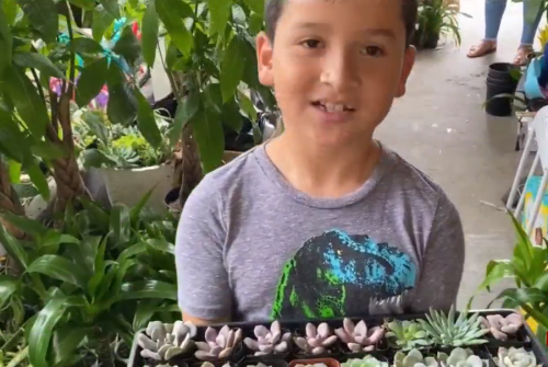 8-Year-Old Starts Plant Business To Help His Mom, Sister in Mexico