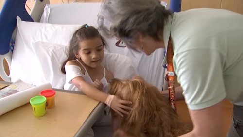 Furry Volunteer Helps Comfort Sick Kids at South Florida Hospital