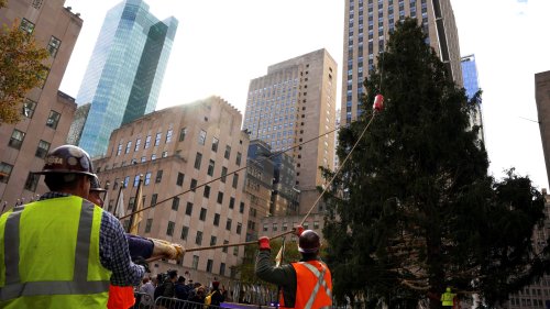Rockefeller Christmas Tree Comes Down Early in Anticipation of Weekend Winter Storm