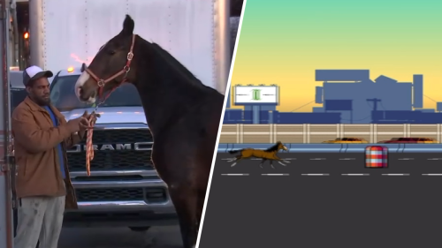 I-95 horse back ‘safe' at Philly stables as game honors gallop down interstate
