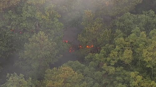 Another Wildfire Burns in NJ State Forest