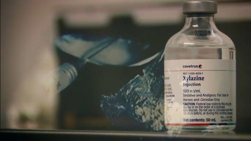 UCSD study warns animal tranquilizer drug ‘tranq' is rising threat to SoCal