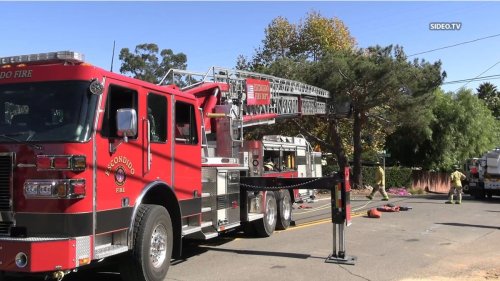 Man shocked to death while working in tree in Escondido, brother says