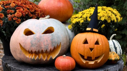 All Things Spooky in San Diego County For the Halloween Season Flipboard