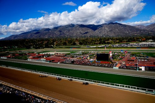 Santa Anita Park sets record safety numbers ahead of horse racing’s new Integrity and Safety Act
