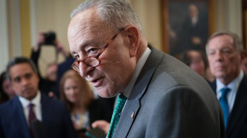 Democratic Party fractures in government shutdown fight, with anger running high