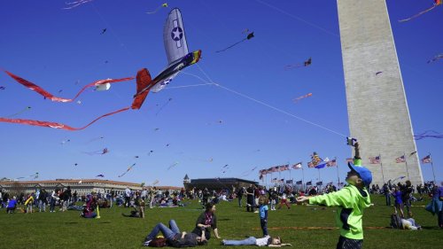 The Weekend Scene: Blossom Kite Festival and more things to do in the DC area