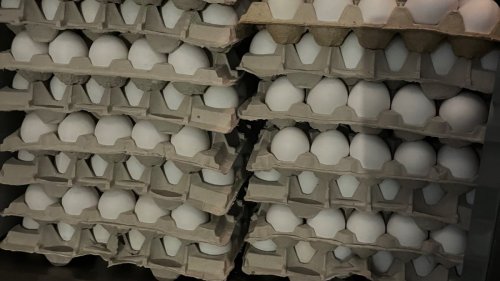 Egg prices are falling, with a dozen now less than $5