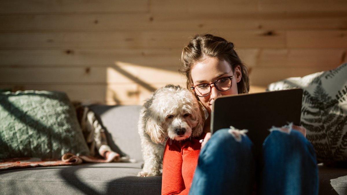 Here's What You Need to Be Doing Right Now to Prepare Your New Pet for Your Return to the Office