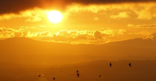 I converted to Catholicism because of Pope Francis' encyclical Laudato Si'