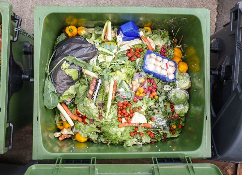 Panel at St. Mary's College in Indiana considers how to fight food waste