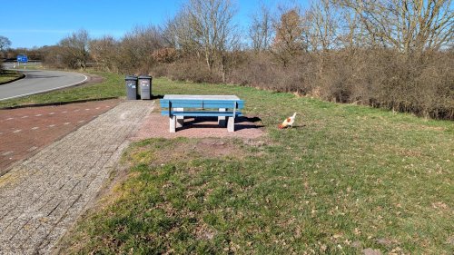 Die Bilder des Tages aus Niedersachsen
