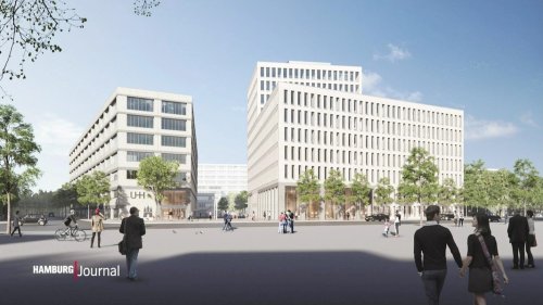 MIN-Forum der Uni Hamburg wird viel teurer als geplant