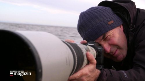 Amrum: Sven Sturm schießt das beste Naturfoto Europas