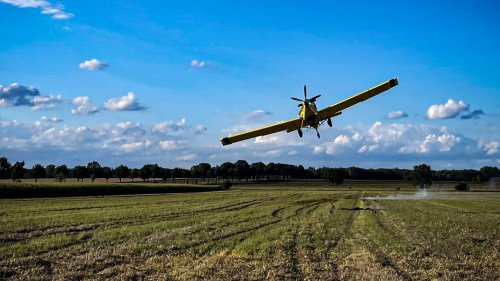 Brand im Harz: Löschflugzeug kommt zur Unterstützung