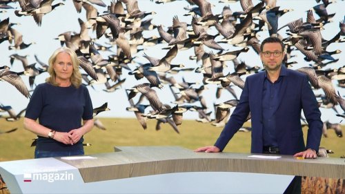 Schleswig-Holstein Magazin | 30.04.2025