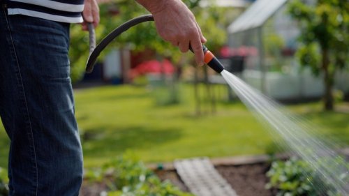 Dürre-Sommer in SH: Experten befürchten anhaltende Trockenheit
