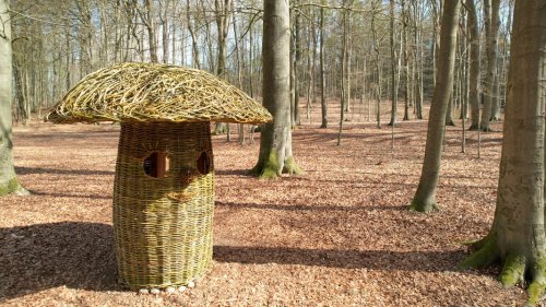Hagenow: Neuer Naturerlebnispfad für Familien