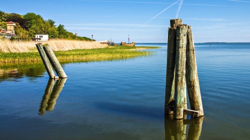 Insel Rügen: Droht eine Überfischung der Boddenhechte?