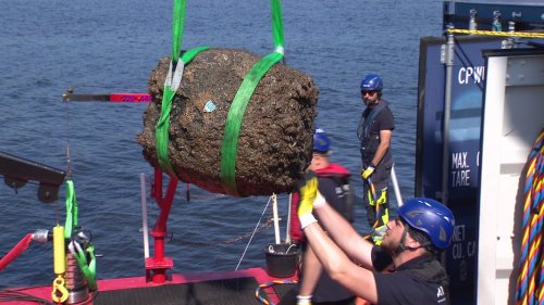 Bergung von Lübecker Hanseschiff-Wrack hat begonnen