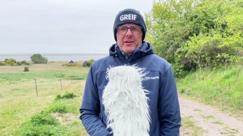 So wird das Wetter in Mecklenburg-Vorpommern für Sonntag