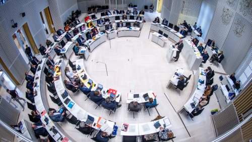 FDP-Abgeordnete wollen Sonderrechte im Landtag