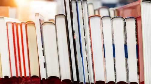 Stadtbibliothek Ludwigslust erhält Fördergeld