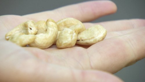Hamburg testet einen Asphalt aus Cashew-Schalen
