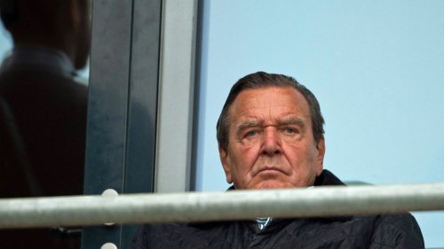 Ampelkoalition: Kein Büro für Altkanzler Gerhard Schröder