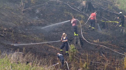 Feuerwehr löscht Waldbrand nahe Wurmberg