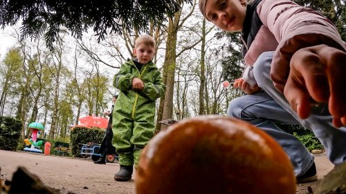 Brookmerland: Ostereiersuche in Birgits Tiergarten