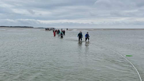 Tiefer Priel: Wattwanderer geraten vor Amrum in Not