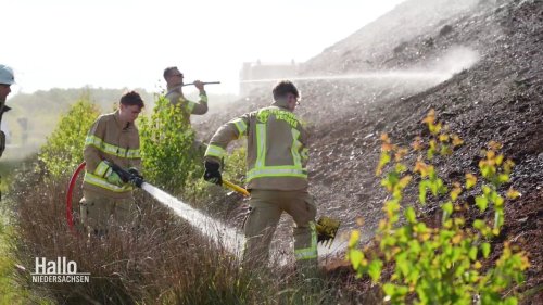 Steigende Waldbrandgefahr - erster Moorbrand bei Vechta