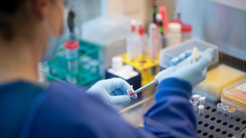 Hamburger Hygiene- und Umweltinstitut unter Erklärungsdruck