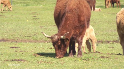 Unterstützung der Landwirte nach trockenem Frühjahr