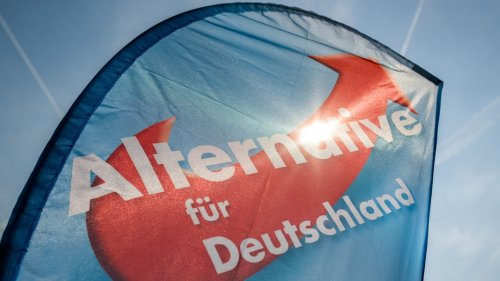 Recherche: Die geheimen Chats der AfD-Bundestagsfraktion