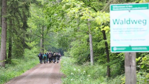 Auftakt der 53. Jugendwaldspiele in Reinfeld