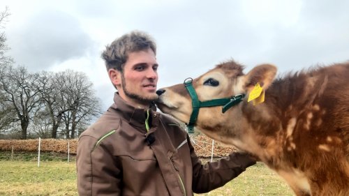 30.000 Follower: Blinder Landwirt gibt Einblicke als Influencer